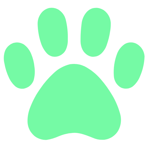 Order Icon